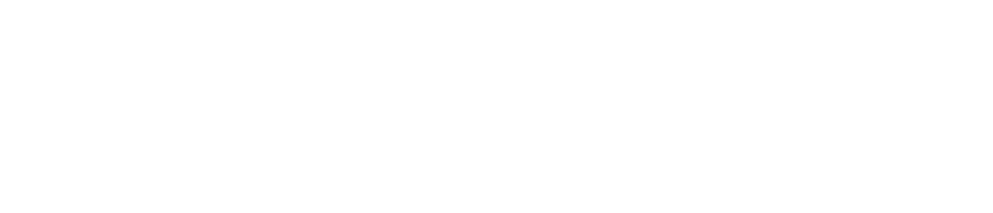 Türk Sağlık-Sen olarak, bütün sağlık camiasının sorunlarını çözüme kavuşturmak, taleplerinin hayata geçmesini sağlama   