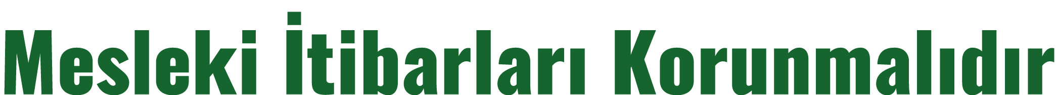 Mesleki İtibarları Korunmalıdır