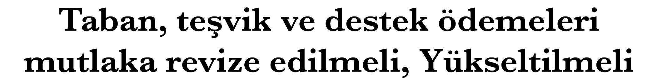 Taban, te vik ve destek demeleri mutlaka revize edilmeli, Y kseltilmeli