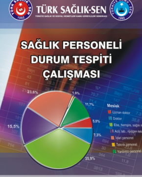 Sağlık Çalışanı Durum Tespiti Çalışması