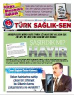 Türk Sağlık Sen Gazetesi 67. Sayı